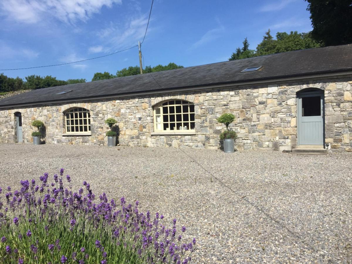 Clonalis House - Guesthouse Castlerea Exterior photo